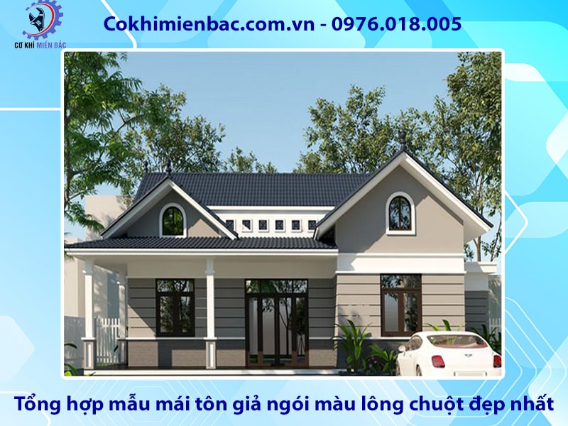 Tổng hợp mẫu mái tôn giả ngói màu lông chuột đẹp nhất