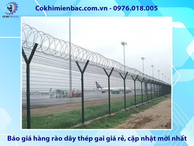 Báo giá hàng rào dây thép gai giá rẻ, cập nhật mới nhất