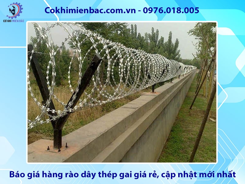 Báo giá hàng rào dây thép gai giá rẻ, cập nhật mới nhất