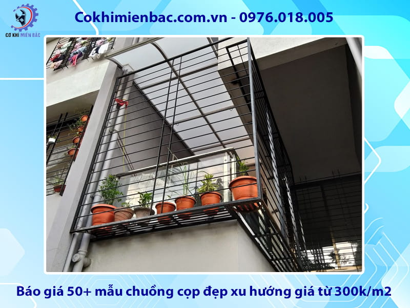 Báo giá 50+ mẫu chuồng cọp đẹp xu hướng giá từ 300k/m2