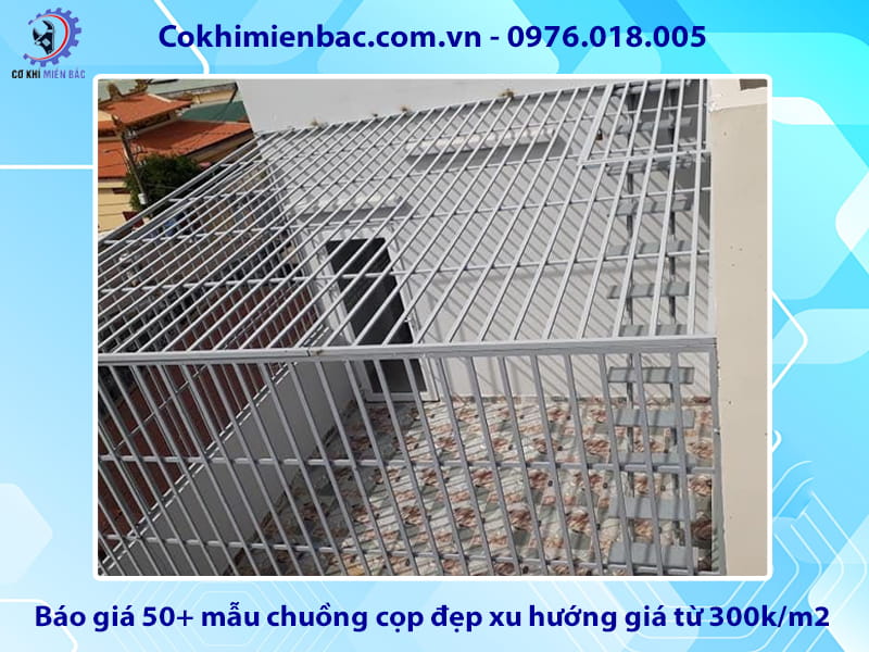 Báo giá 50+ mẫu chuồng cọp đẹp xu hướng giá từ 300k/m2