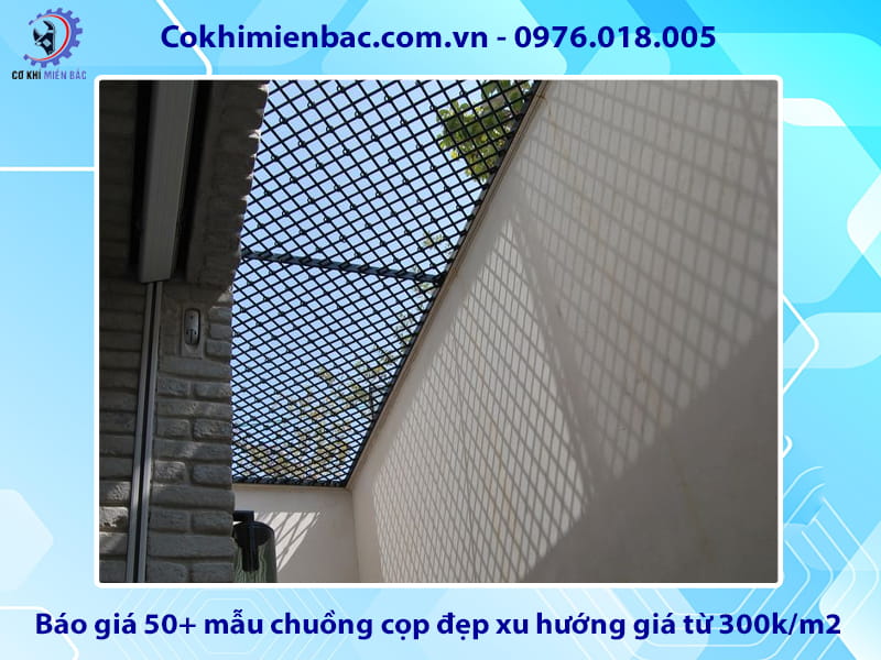 Báo giá 50+ mẫu chuồng cọp đẹp xu hướng giá từ 300k/m2