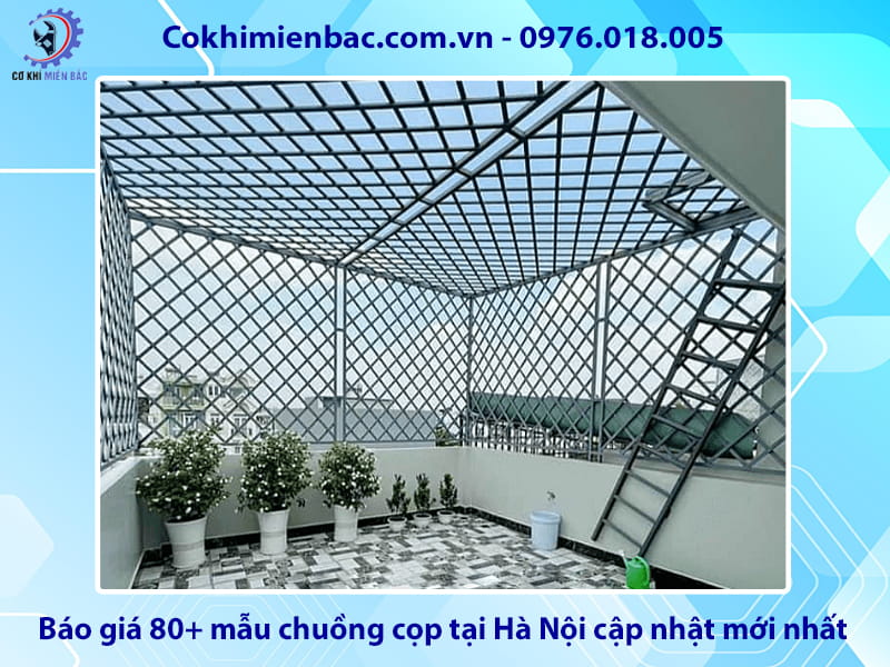 Báo giá 80+ mẫu chuồng cọp tại Hà Nội cập nhật mới nhất 2026