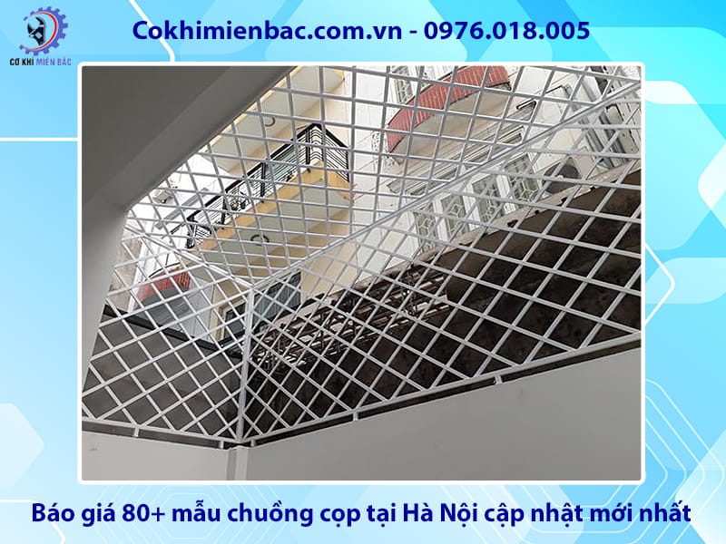 Báo giá 80+ mẫu chuồng cọp tại Hà Nội cập nhật mới nhất 2026