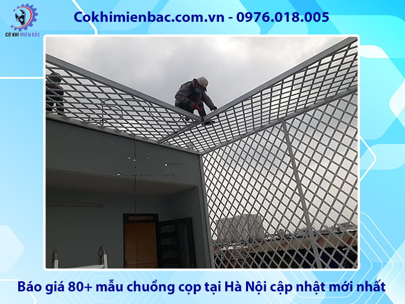 Báo giá 80+ mẫu chuồng cọp tại Hà Nội cập nhật mới nhất 2026